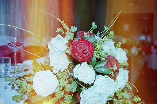 imm004_3.jpg