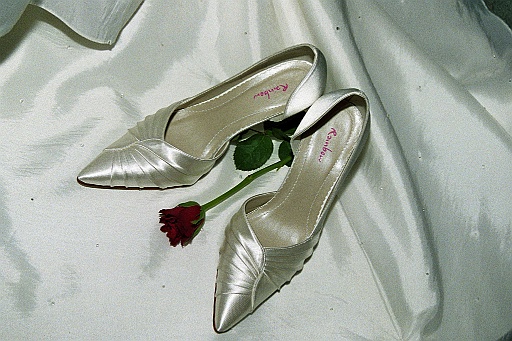 imm008_17.jpg